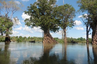 cambodge